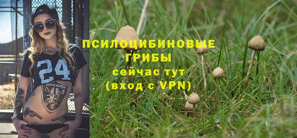 герыч Верхний Тагил