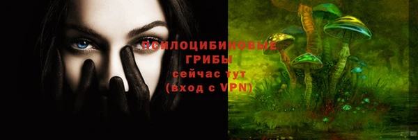 метадон Верея