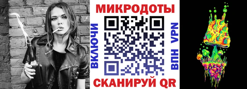 Галлюциногенные грибы Psilocybine cubensis  Северодвинск 
